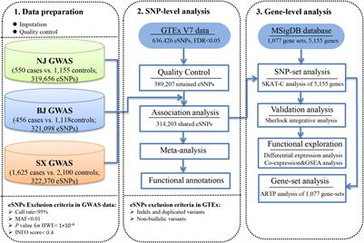 Integration of GWAS and eQTL Analysis to Identify Risk Loci and Susceptibility Genes for Gastric Cancer